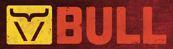 Melissa Ostrom author featured in Bull #11 Fragile Like a Bomb